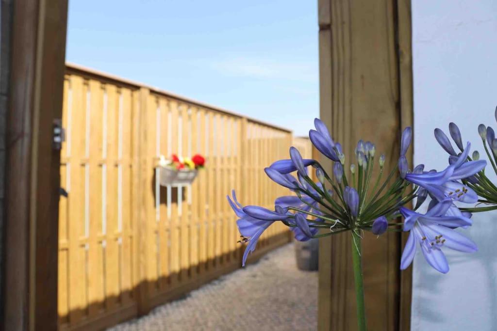 St Agnes Perfect Location, Hot Tub, Sea Views, Gym St Agnes (Cornwall) Exterior foto