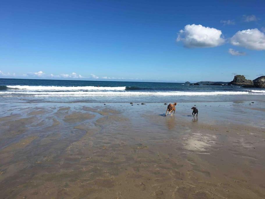 St Agnes Perfect Location, Hot Tub, Sea Views, Gym St Agnes (Cornwall) Exterior foto